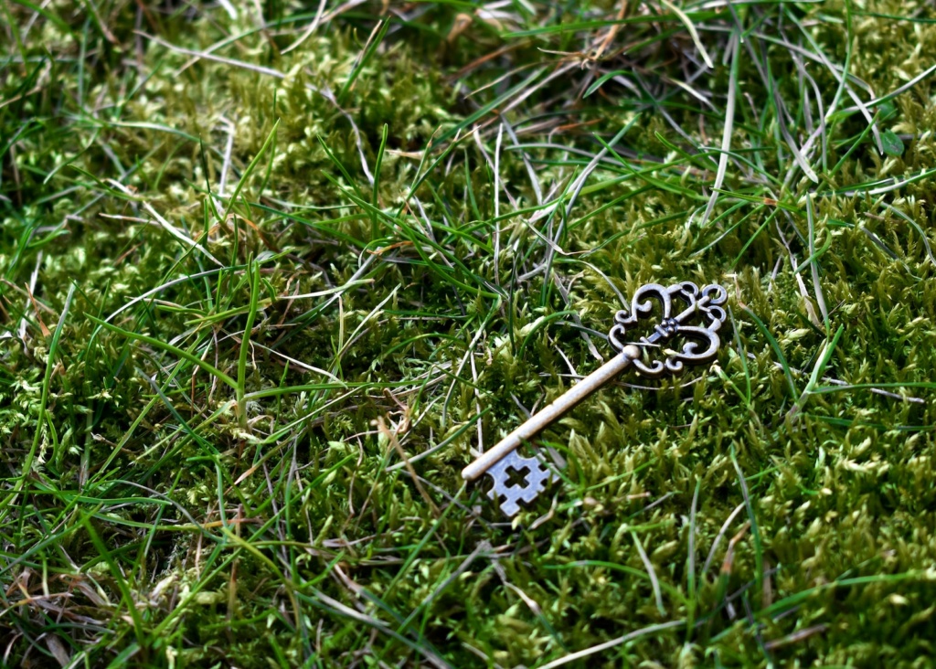 brass-color skeleton key on green grass
